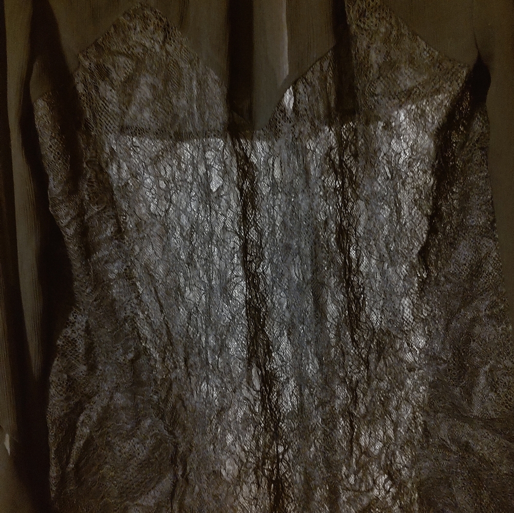 🐈⬛ Divine VS Vintage Victorian Inspired Black Sheer Crepe & Lace Blouse - L - Picture 14 of 15